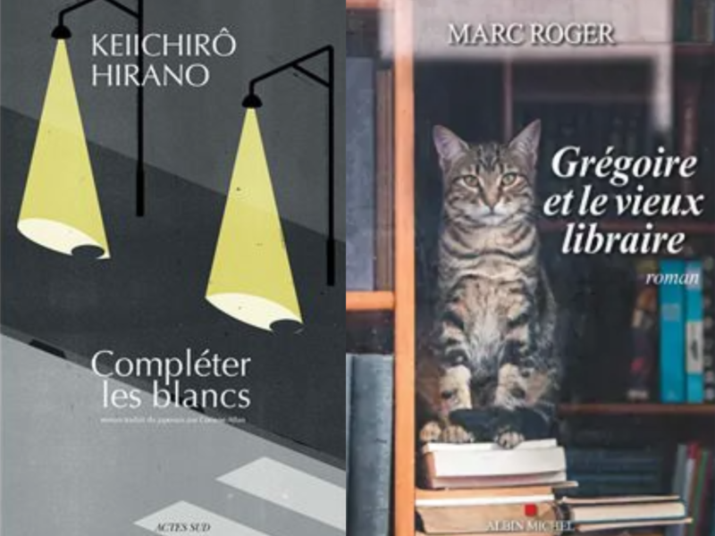 Couvertures des deux livres évoqués par Sophie Ame, biblio-coach : Compléter les blancs de Keiichirô Hirano et Grégoire et le vieux libraire de Marc Roger.