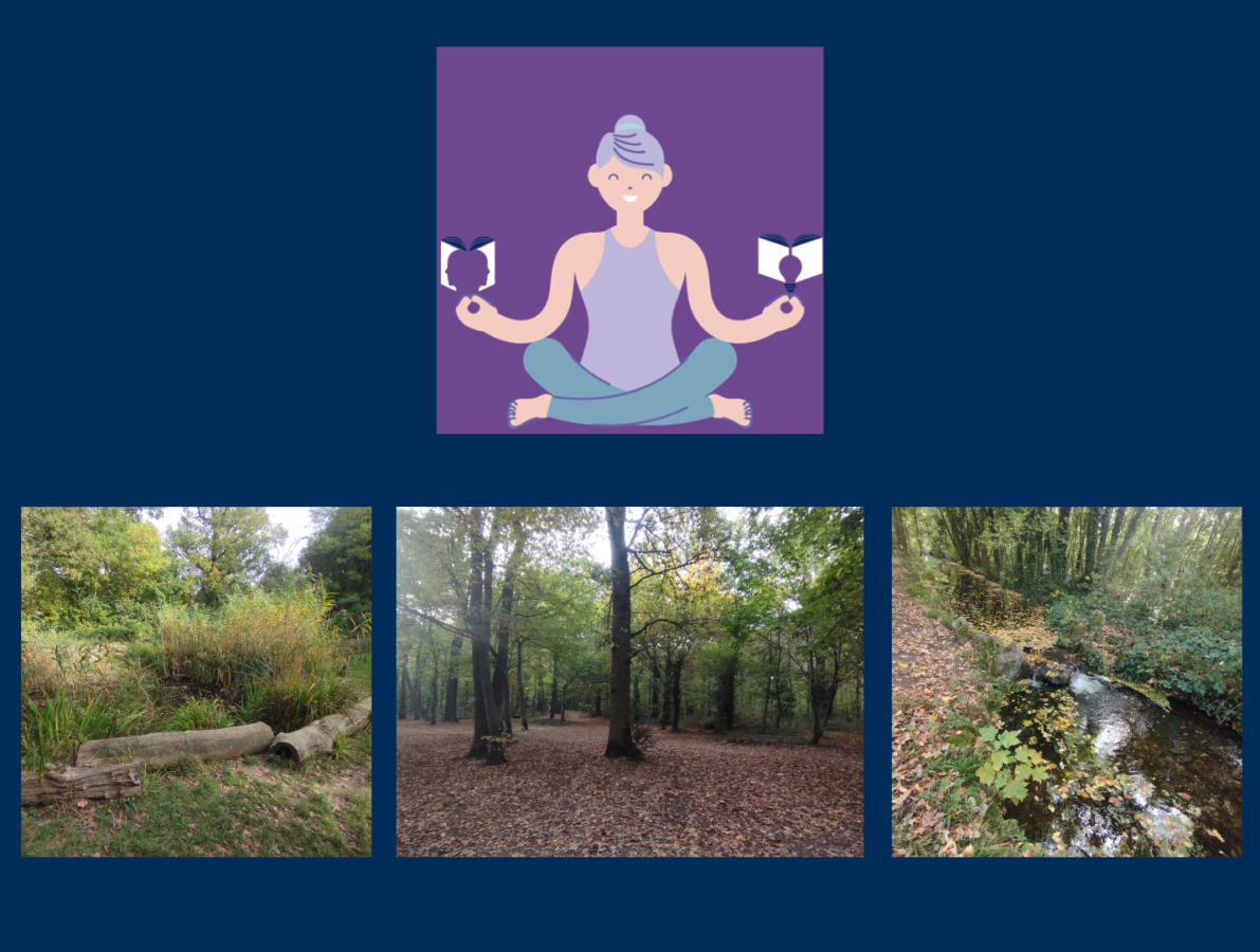 Balade bien-être et sensorielle dans la nature avec tous vos sens